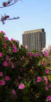 Fox Plaza Apartments