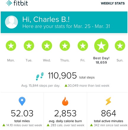 Chuck Buntjer - Fitbit Steps and Miles