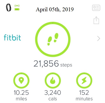 Chuck Buntjer - Fitbit Steps and Miles