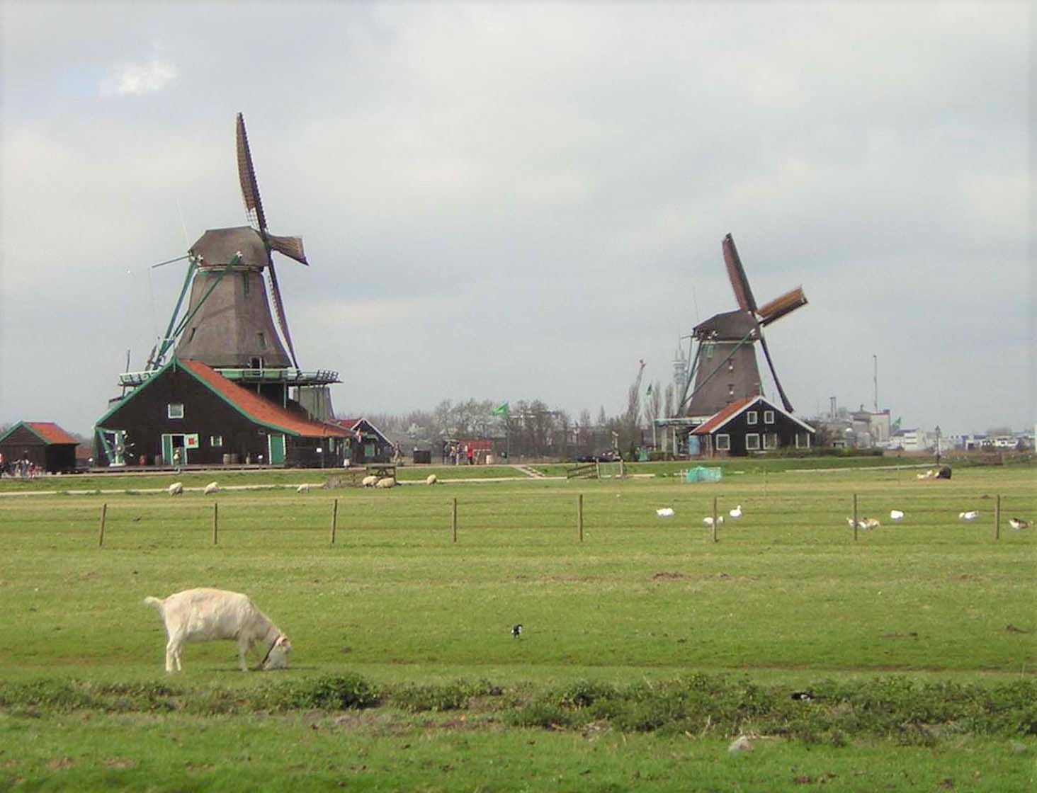 Netherlands Photos