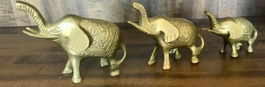 Indian Elephants?