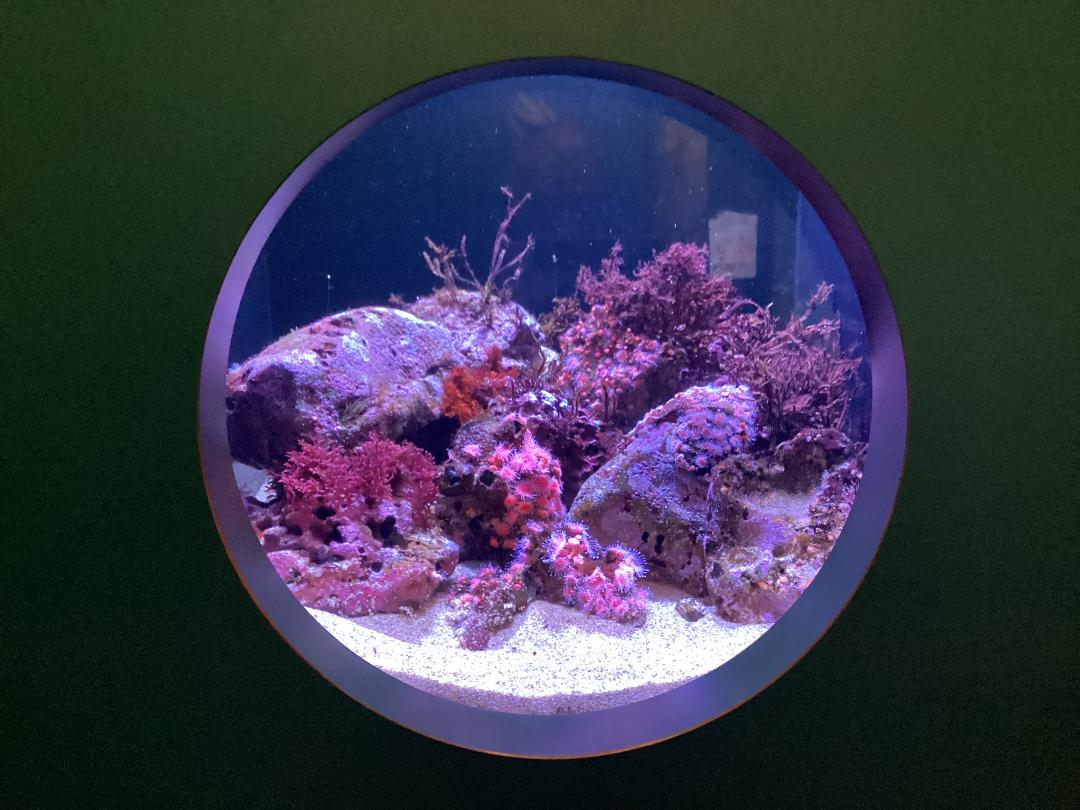 Aquarium