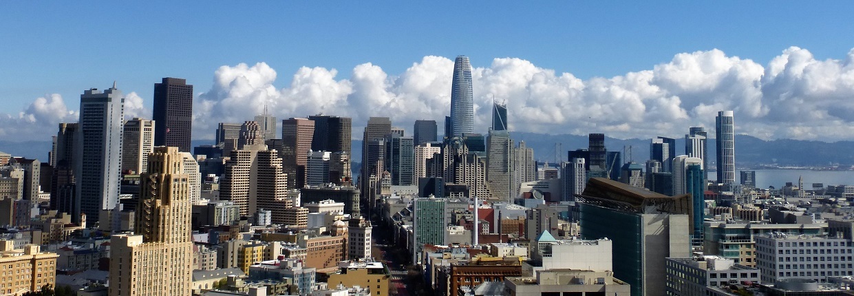 San Francisco View