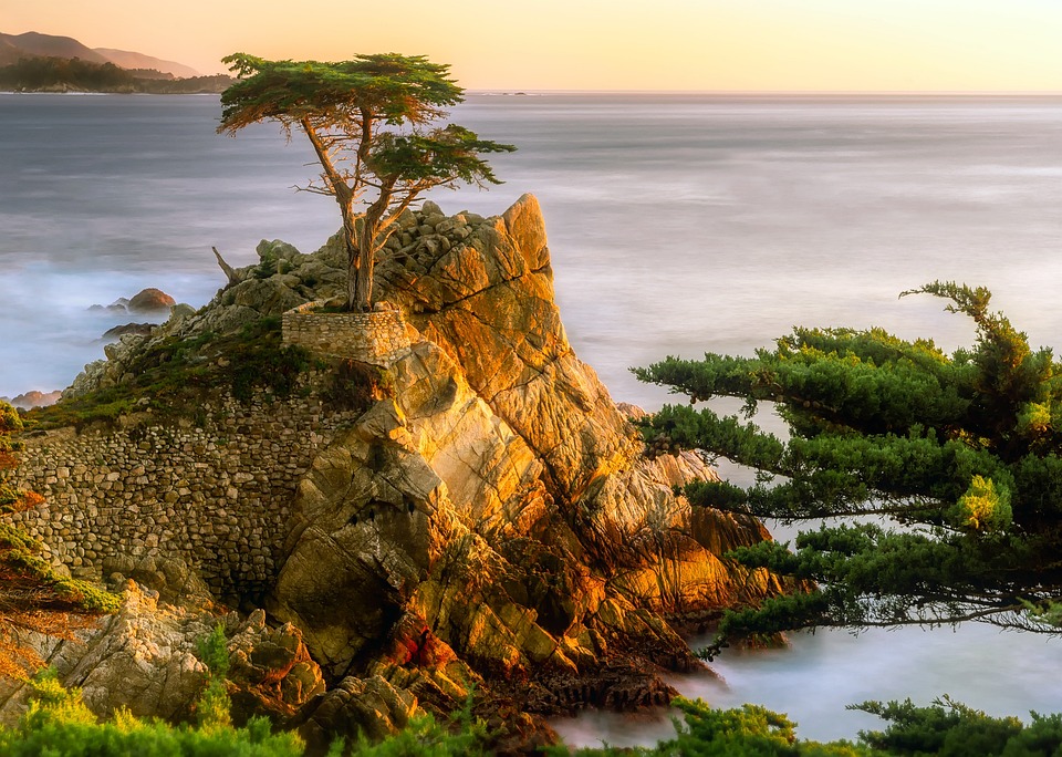 California