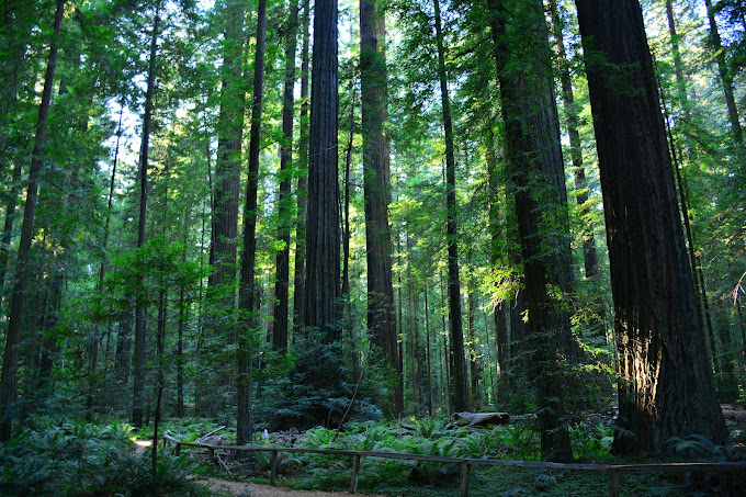 California