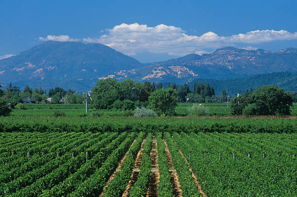 California