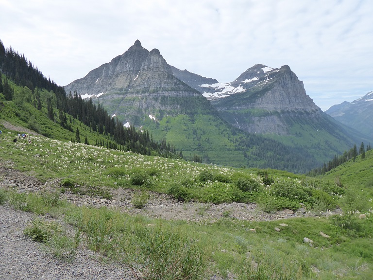 Montana